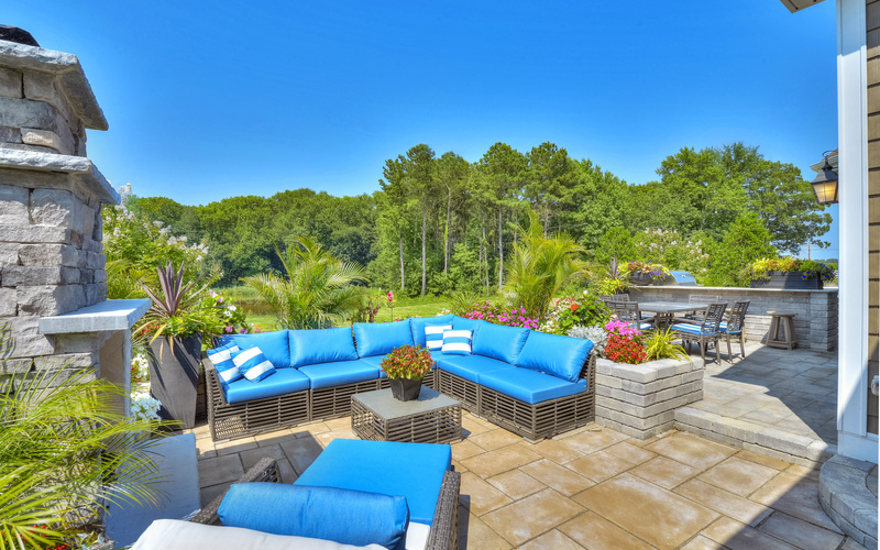 The Whimbrel at Saddle Ridge