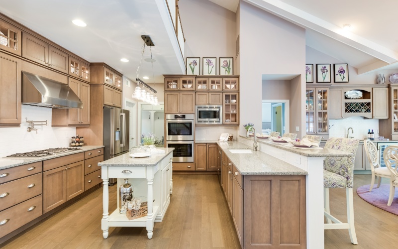 Whimbrel at Independence