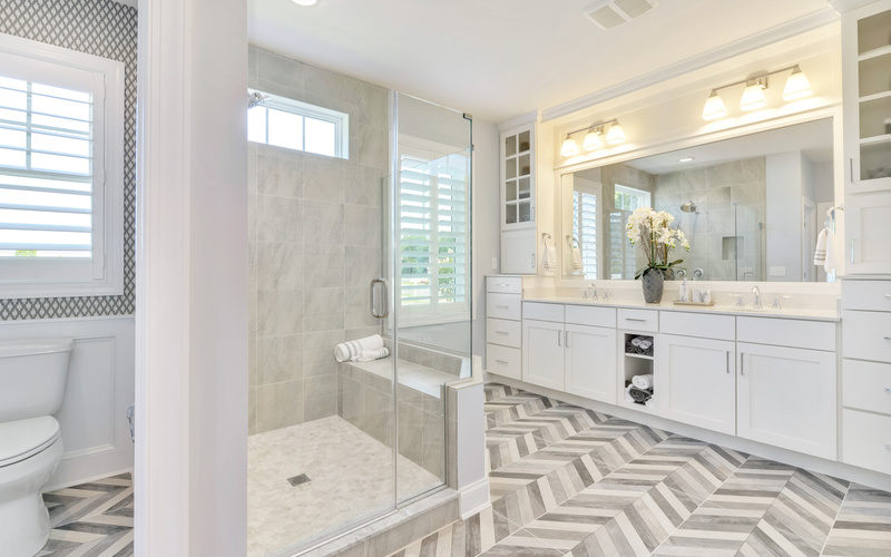 The Whimbrel at Saddle Ridge