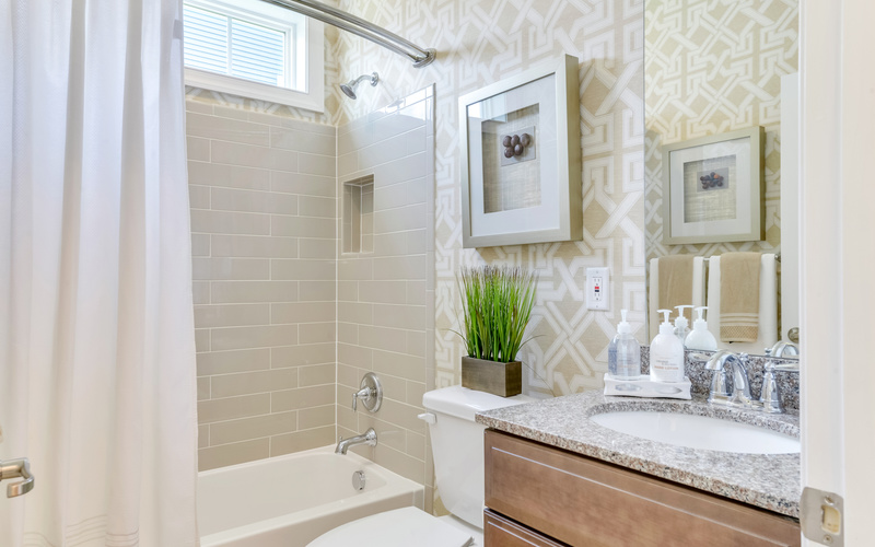 The Bluebell at Solitude