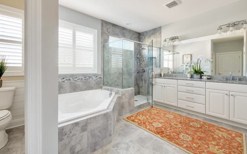 The Whimbrel at Outer Banks