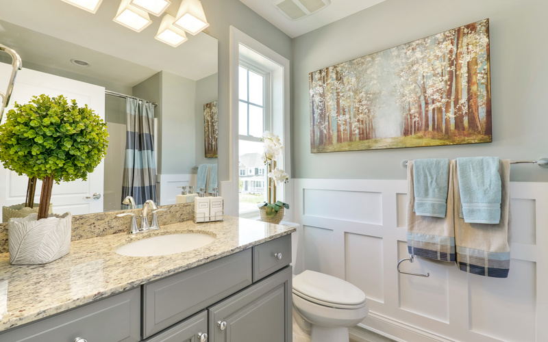 The Bluebell at Solitude