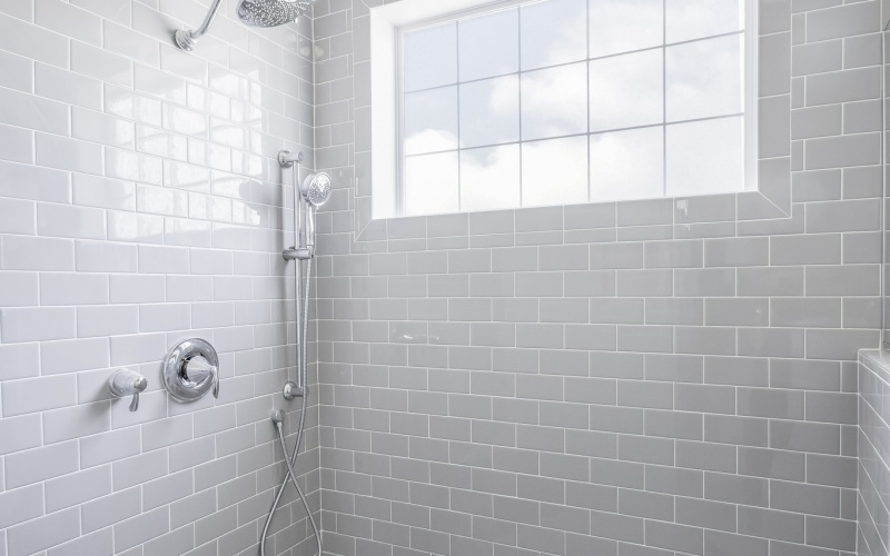 The Shearwater at Sanctuary