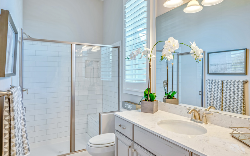 Cassidy at Showfield