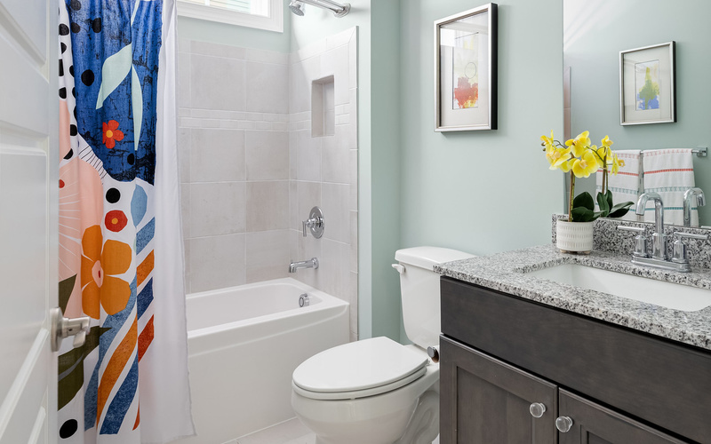 The Whimbrel at Peninsula Lakes