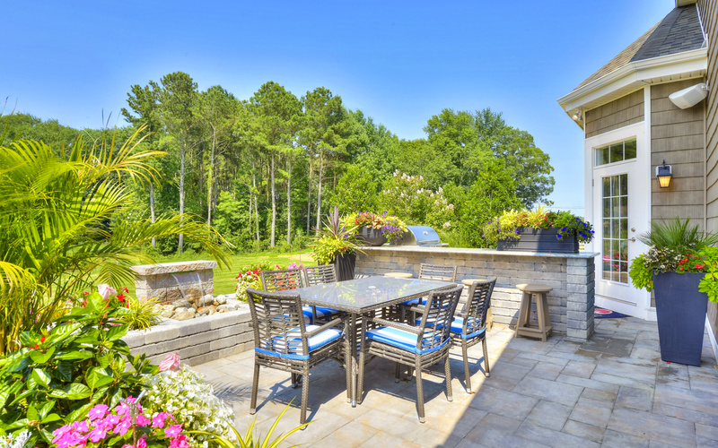 The Whimbrel at Saddle Ridge