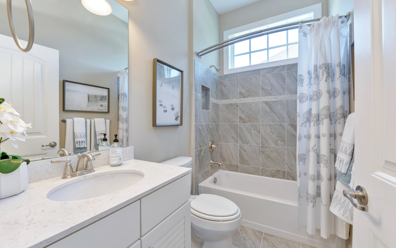 Cassidy at Showfield