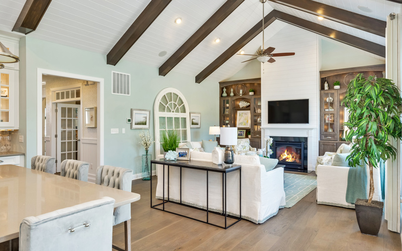 Cassidy at Showfield