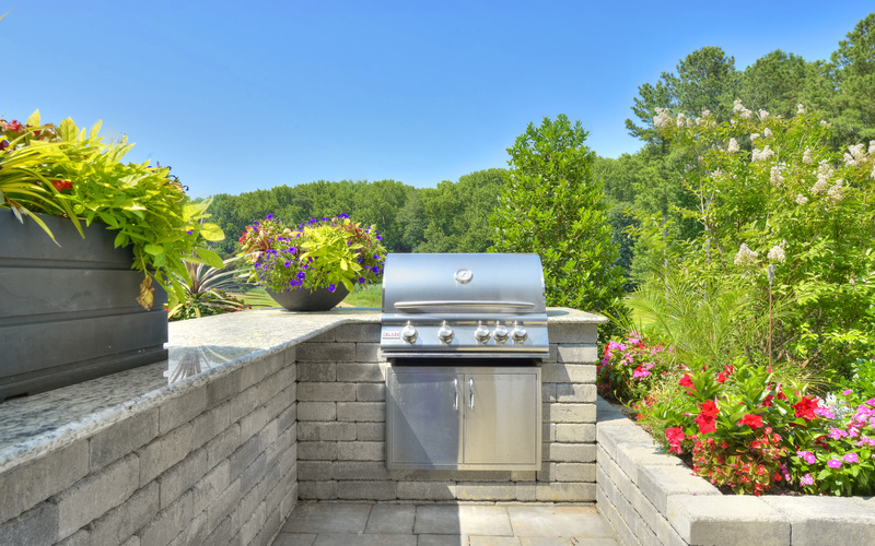 The Whimbrel at Saddle Ridge