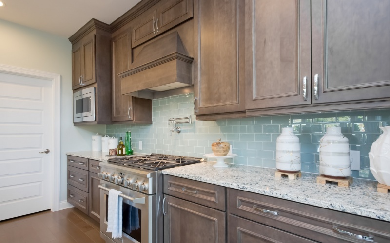 The Shearwater at Sanctuary