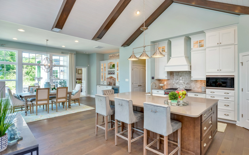 Cassidy at Showfield