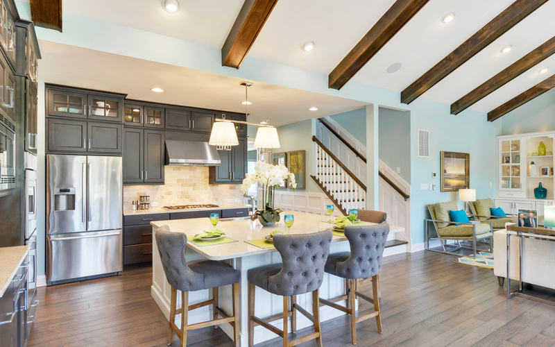 The Whimbrel at Saddle Ridge