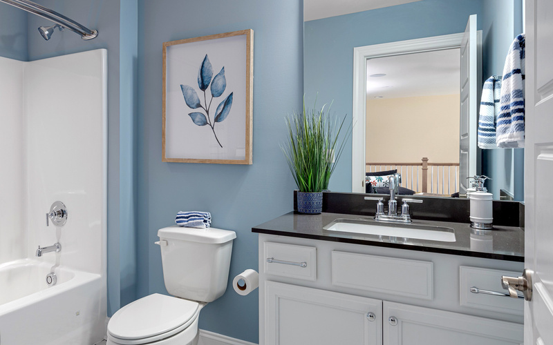 The Whimbrel at Peninsula Lakes