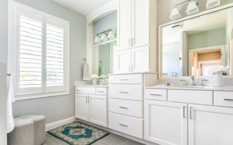 The Shearwater at Sanctuary