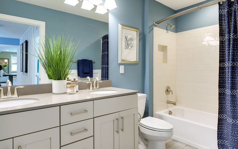 The Kingfisher at Marsh Island