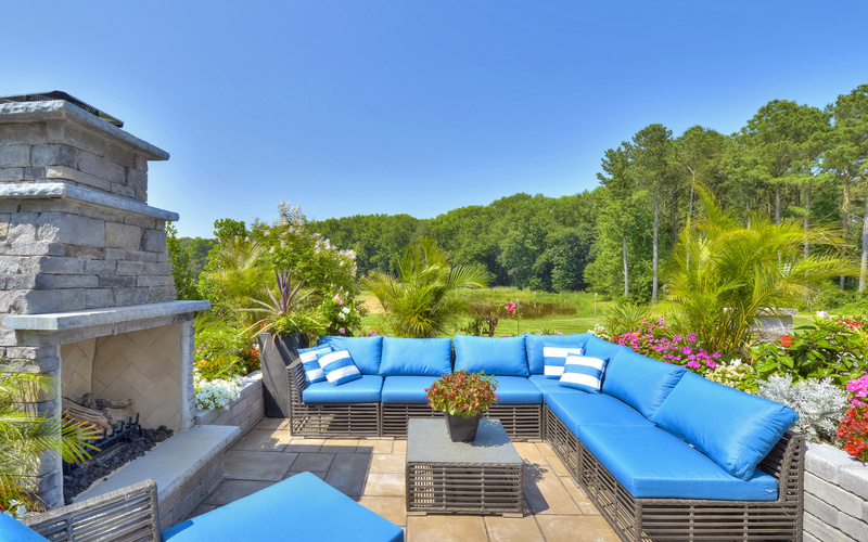 The Whimbrel at Saddle Ridge