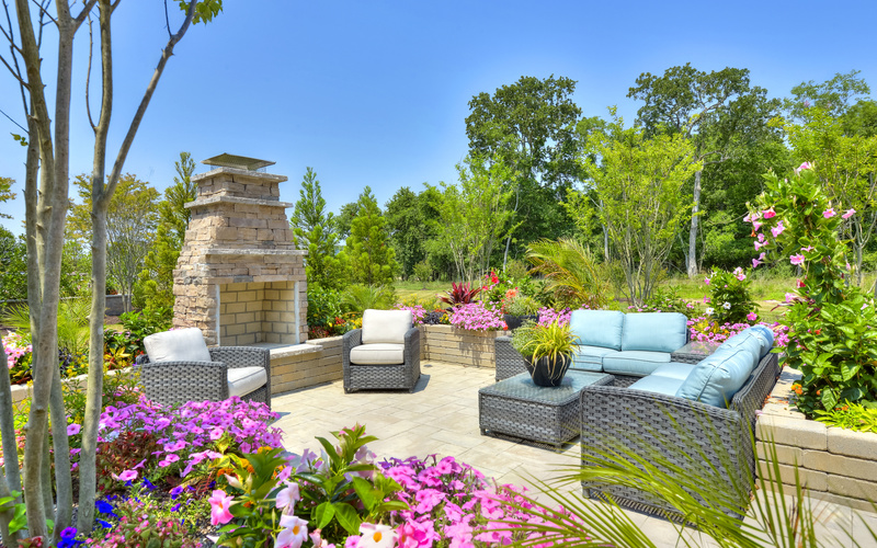 Cassidy at Showfield