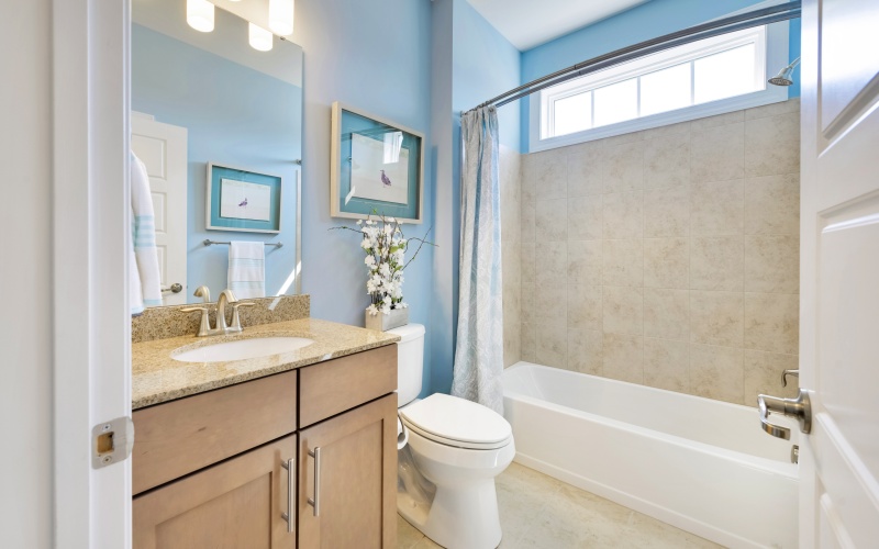 The Whimbrel at Solitude on White Creek