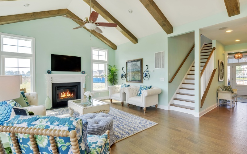 The Whimbrel at Solitude on White Creek