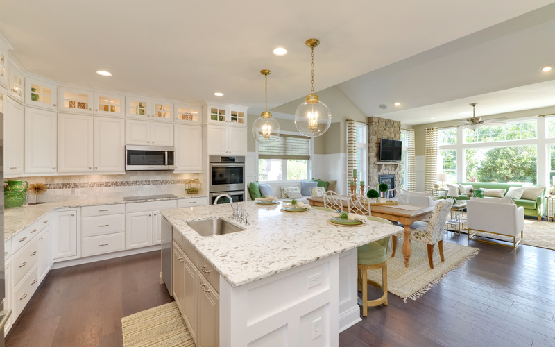 The Bluebell at Solitude