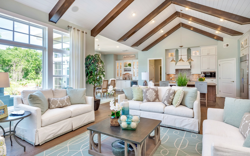 Cassidy at Showfield