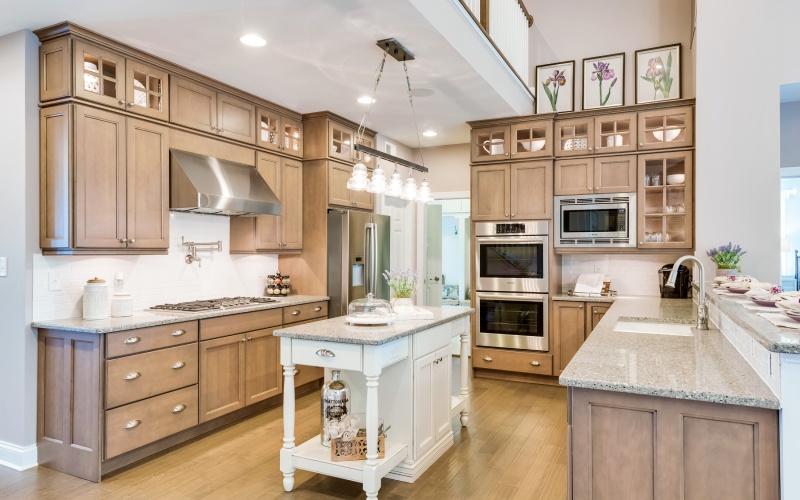 Whimbrel at Independence