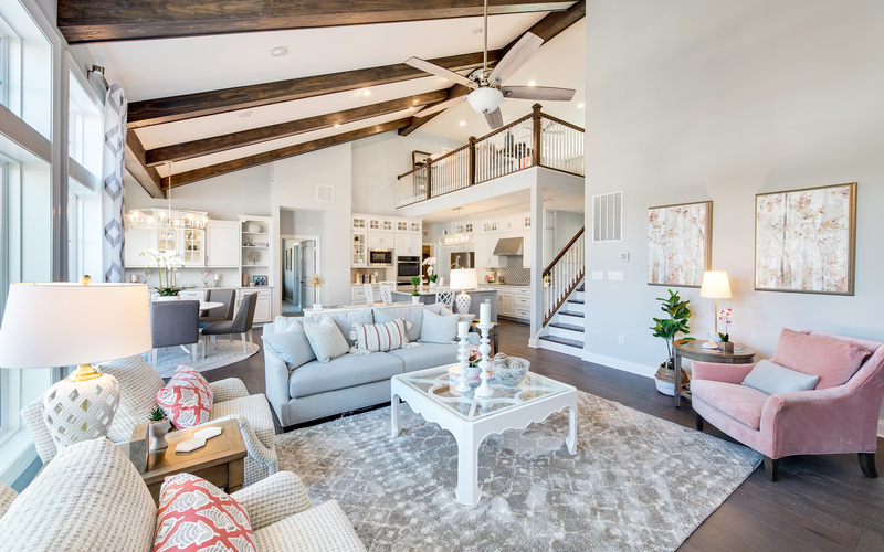 The Whimbrel at Outer Banks