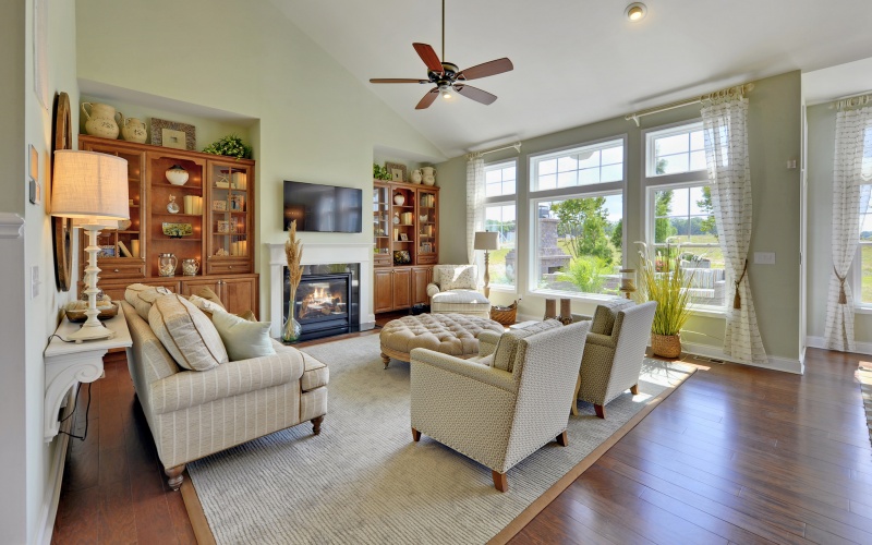 The Whimbrel at Independence